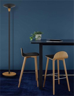 Vloerlampen