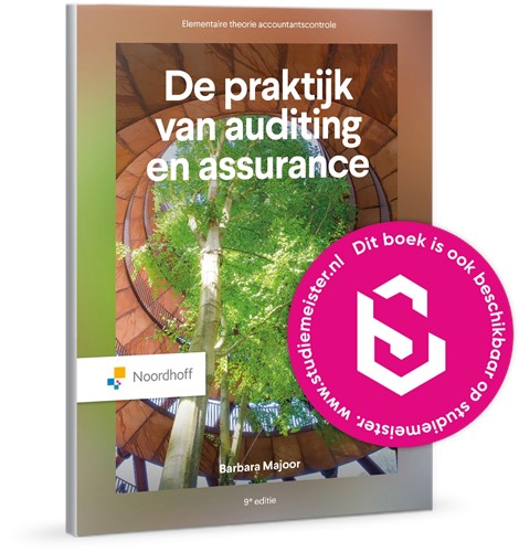 De praktijk van auditing en assurance - Verschijningsdatum 01-07-2025
