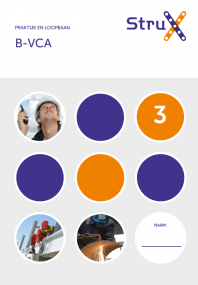 B-VCA 3