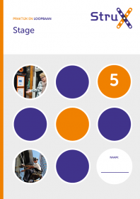 Stage 5