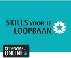 Skills voor je loopbaan Niveau 2-3-4