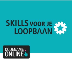 Skills voor je loopbaan Niveau 2-3-4