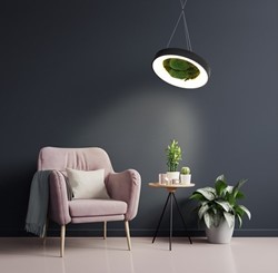 Verlichting en lampen