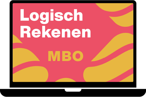 Studyflow Logisch Rekenen – MBO 12 mnds