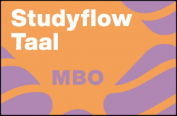 Studyflow Taal - MBO 24 mnds